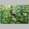 DSC_0137.html