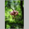 DSC_0142.html