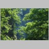 DSC_0162.html