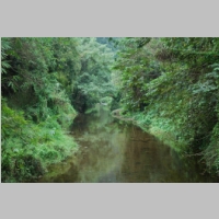 DSC_0855.JPG