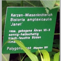 IMG_0730_Schild.jpg