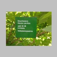 IMG_0739_G.jpg