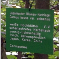 IMG_0741_Schild.jpg
