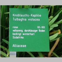 IMG_0744_Schild.jpg