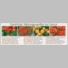 HerbstBeeren.html