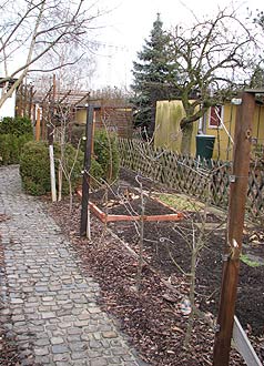 Spalierobst